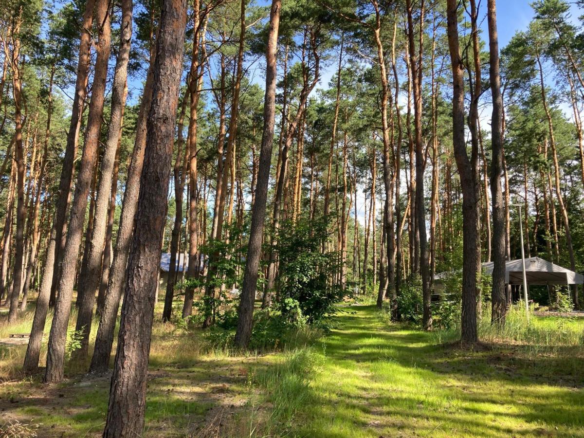 Gora Spokoju Osada Klimatyczna-lesna Ferienhaus *
