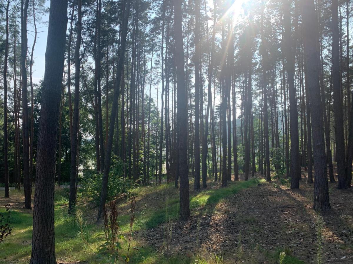 Gora Spokoju Osada Klimatyczna-lesna *
