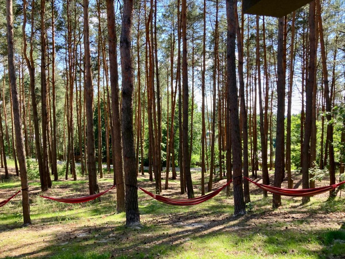 Gora Spokoju Osada Klimatyczna-lesna *